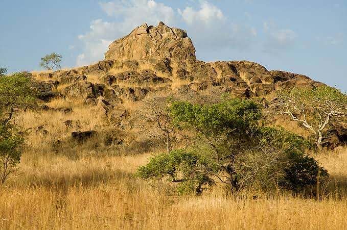 Wildlife & Nature, Cameroon